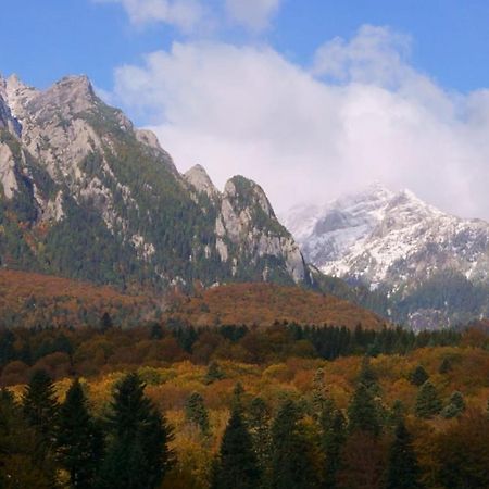 Pensiunea Luna Buşteni Exteriér fotografie