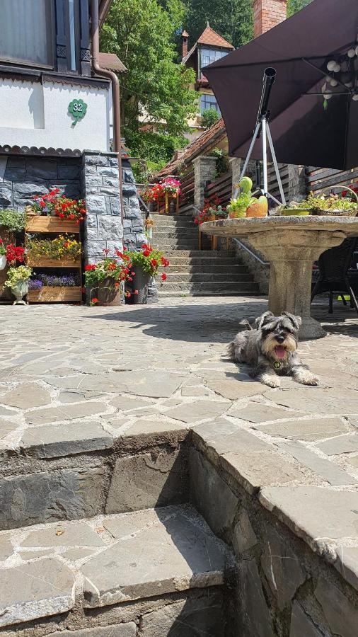 Pensiunea Luna Buşteni Exteriér fotografie