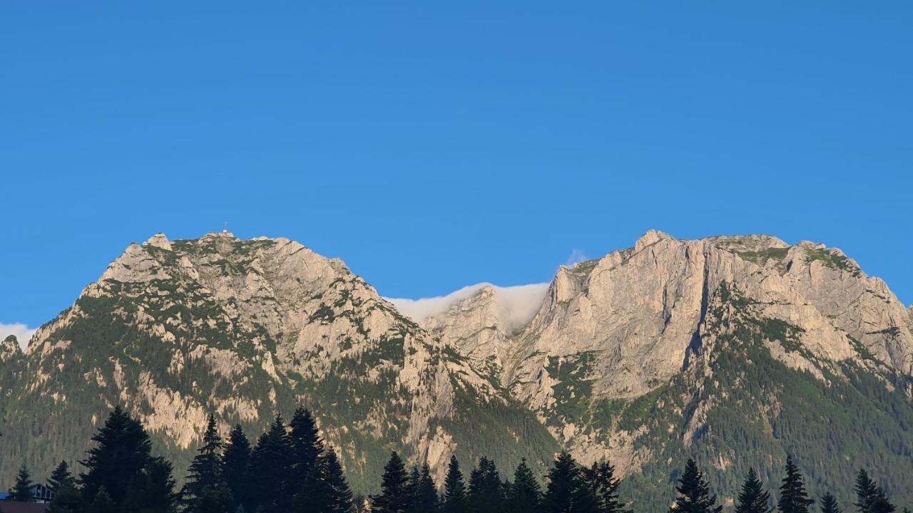 Pensiunea Luna Buşteni Exteriér fotografie