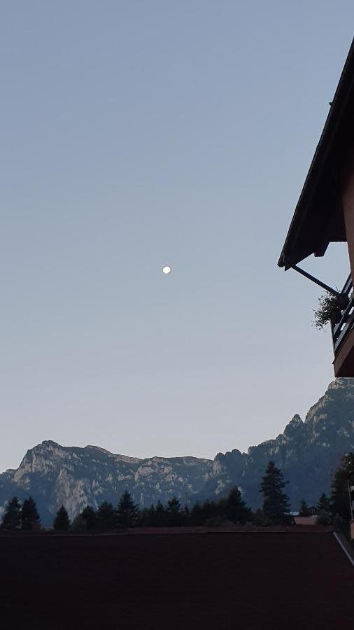 Pensiunea Luna Buşteni Exteriér fotografie