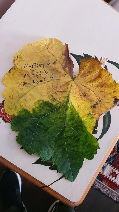 Pensiunea Luna Buşteni Exteriér fotografie