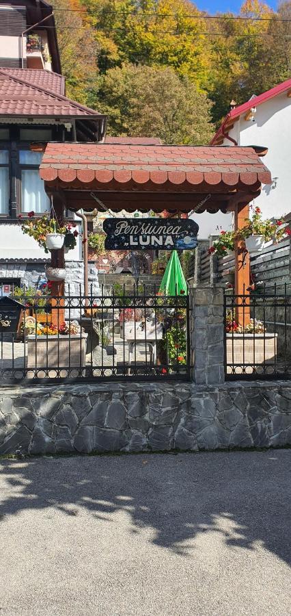 Pensiunea Luna Buşteni Exteriér fotografie